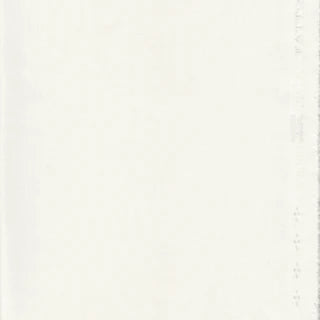 Worsted Medora — H.White fabric image