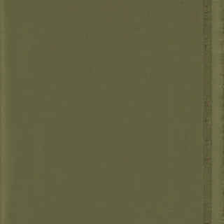 Worsted Medora — Light Green fabric image